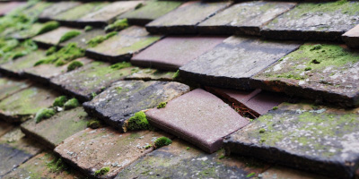Paradwys roof repair costs